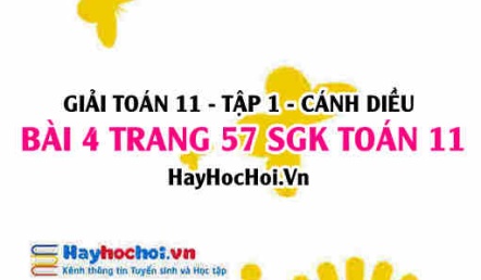 Giải bài 4 trang 57 Toán 11 tập 1 SGK Cánh Diều